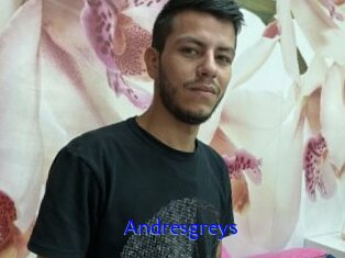 Andresgreys