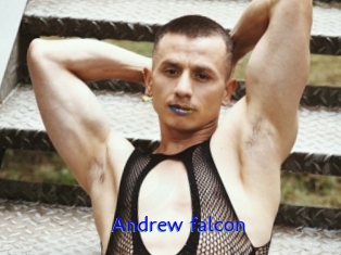 Andrew_falcon