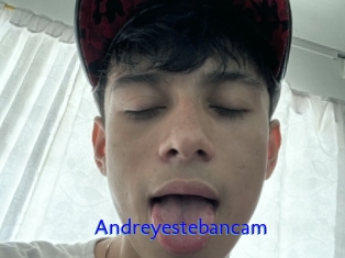 Andreyestebancam