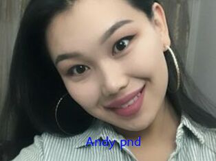 Andy_pnd