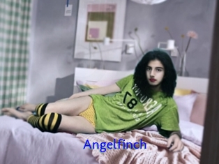 Angelfinch