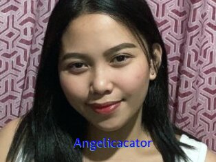 Angelicacator