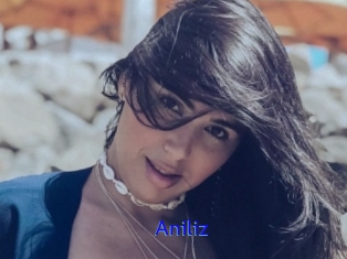 Aniliz