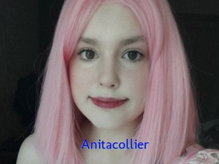 Anitacollier
