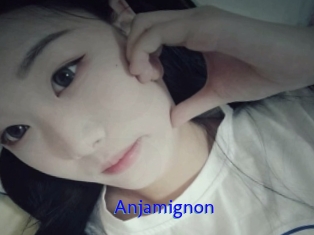Anjamignon