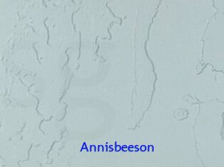 Annisbeeson