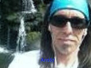 Ant67