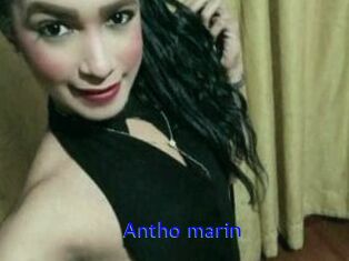Antho_marin