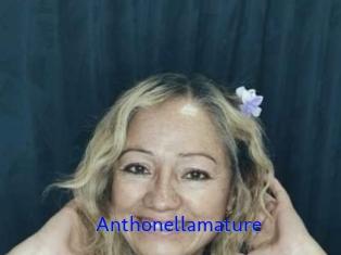 Anthonellamature