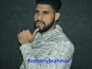 Anthonybrahmas