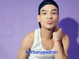 Anthonypadron