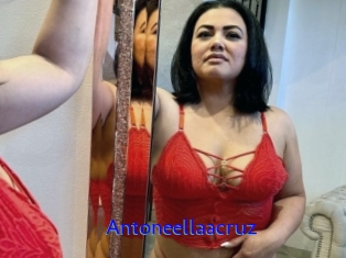 Antoneellaacruz