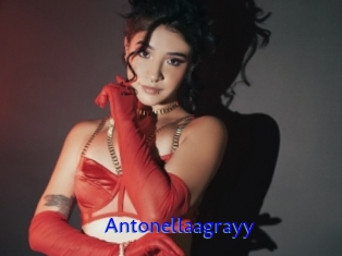 Antonellaagrayy