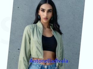 Antonelladivala