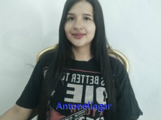 Antonellagar