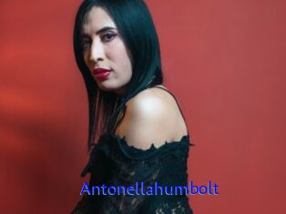 Antonellahumbolt