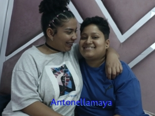Antonellamaya