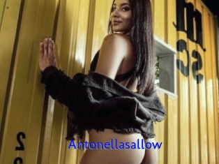 Antonellasallow