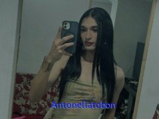 Antonellatobon