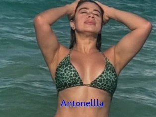 Antonellla