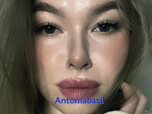 Antoniabasil