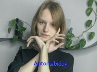 Antoniabiddy