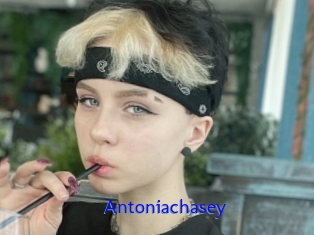 Antoniachasey