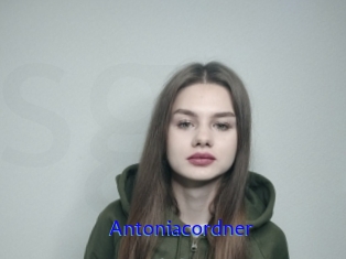 Antoniacordner