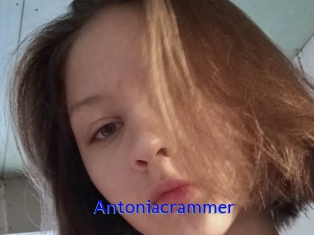 antoniacrammer Sexo Gratis