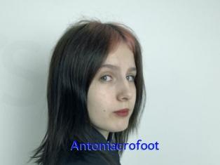 Antoniacrofoot