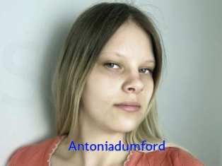 Antoniadumford