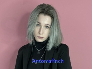 Antoniafinch