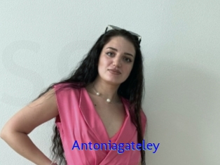 Antoniagateley