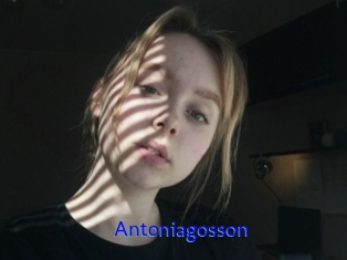 Antoniagosson
