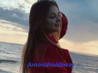 Antoniahaddaway