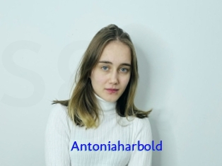 Antoniaharbold