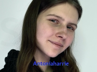 Antoniaharrie