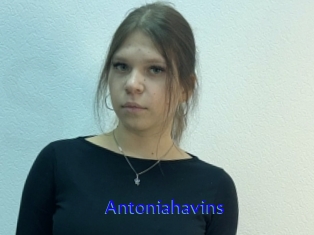 Antoniahavins