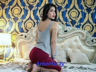 Antoniaray