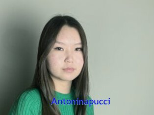 Antoninapucci