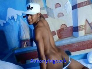 Antonybigcock