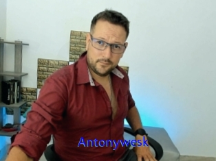 Antonywesk