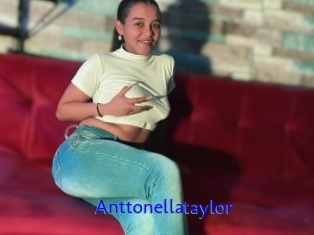 Anttonellataylor