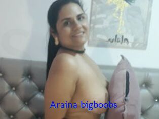 Araina_bigboobs
