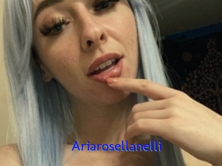 Ariarosellanelli