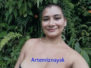 Artemiznayak