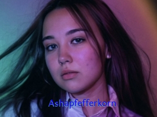 Ashapfefferkorn