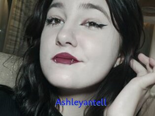 Ashleyantell