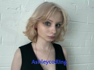 Ashleycodling