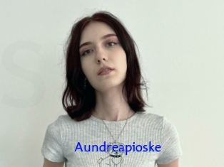 Aundreapioske
